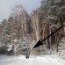 Плащ-намет з люверсами камуфляж лісу. Дощовик пончо для військових, плащ-намет тактичний лісовий камуфляж Плащ-намет з люверсами камуфляж лісу. Дощовик пончо для військових, плащ-намет тактичний лісовий камуфляж