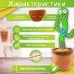 Танцюючий кактус співаючий 120 пісень з підсвічуванням Dancing Cactus TikTok іграшка Повторюшка кактус Танцюючий кактус співаючий 120 пісень з підсвічуванням Dancing Cactus TikTok іграшка Повторюшка кактус