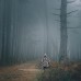 Плащ-намет з люверсами камуфляж лісу. Дощовик пончо для військових, плащ-намет тактичний лісовий камуфляж Плащ-намет з люверсами камуфляж лісу. Дощовик пончо для військових, плащ-намет тактичний лісовий камуфляж